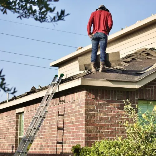 roof replacement